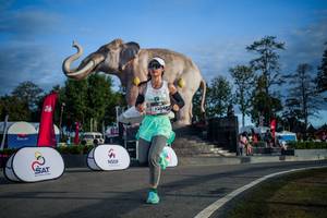 BIB: 
                            <button type="button" onclick="openModal(26541826)" class="btn btn-primary btn-sm float-right btn-popup" data-toggle="modal" data-target=".modal-high-quality">
                        <i class="fas fa-shopping-cart"></i> Add to Cart
                    </button>
                                            <button type="button" onclick="isThisMe(26541826, true)" class="btn btn-success btn-sm float-right btn-popup btn-isme hidden" data-toggle="tooltip" data-placement="bottom" title="นี่คือรูปของคุณใช่ไหม คลิกที่นี่เพื่อเอาเข้าอัลบั้ม">
                        <i class="fas fa-plus"></i> Add to album
                    </button>
                    <button type="button" onclick="isThisMe(26541826, false)" class="btn btn-warning btn-sm float-right btn-popup btn-isnotme hidden">
                        <i class="fas fa-ban"></i> Remove from album
                    </button>